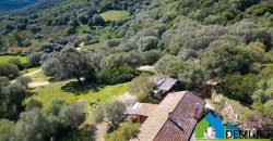 Azienda Agricola in vendita Sardegna ref. Biagio