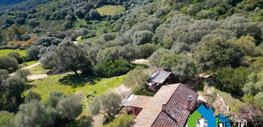Azienda Agricola in vendita Sardegna ref. Biagio