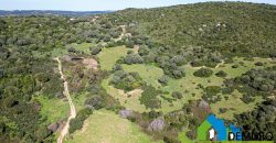 Azienda Agricola in vendita Sardegna ref. Biagio