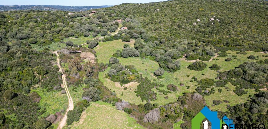 Azienda Agricola in vendita Sardegna ref. Biagio