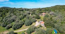 Farm for Sale in Gallura