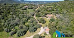 Azienda Agricola in vendita Sardegna ref. Biagio