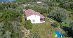 Azienda Agricola in vendita Sardegna ref. Biagio