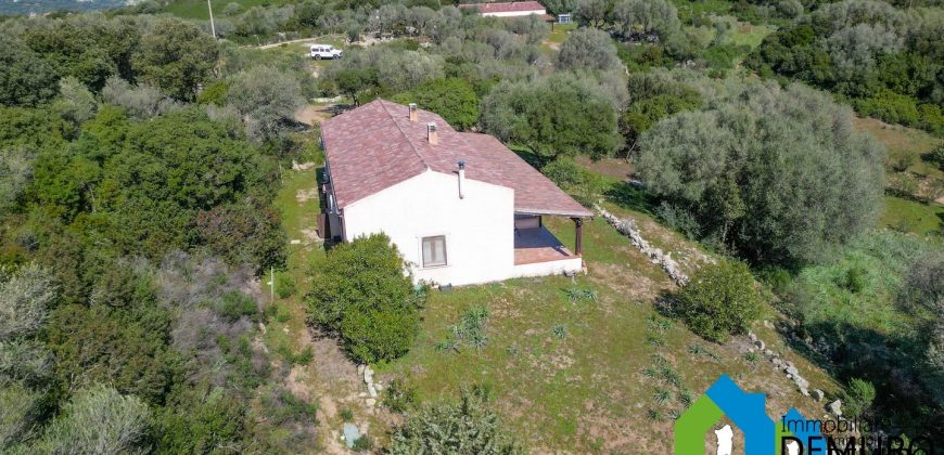 Azienda Agricola in vendita Sardegna ref. Biagio