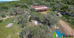 Azienda Agricola in vendita Sardegna ref. Biagio