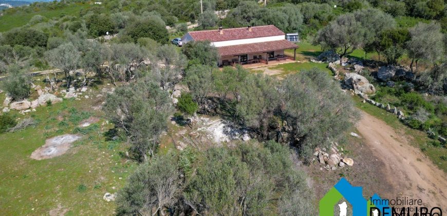 Azienda Agricola in vendita Sardegna ref. Biagio