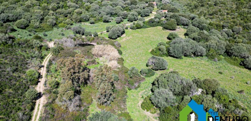 Azienda Agricola in vendita Sardegna ref. Biagio