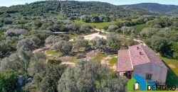 Azienda Agricola in vendita Sardegna ref. Biagio