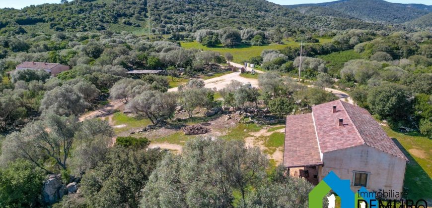 Azienda Agricola in vendita Sardegna ref. Biagio