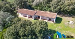 Azienda Agricola in vendita Sardegna ref. Biagio