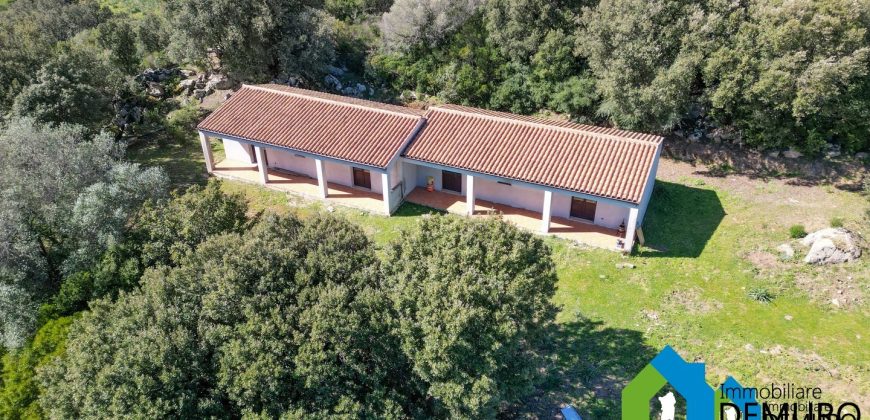 Azienda Agricola in vendita Sardegna ref. Biagio