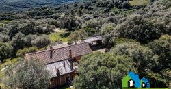 Azienda Agricola in vendita Sardegna ref. Biagio