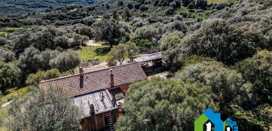 Azienda Agricola in vendita Sardegna ref. Biagio