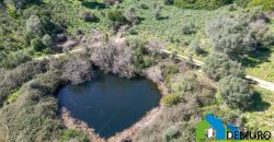 Azienda Agricola in vendita Sardegna ref. Biagio