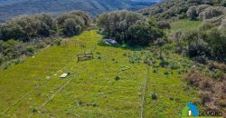Farm for Sale in Gallura