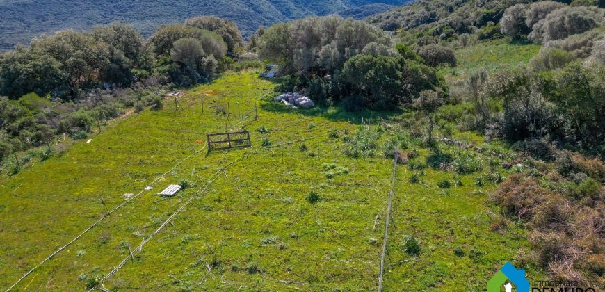Farm for Sale in Gallura