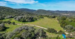 Farm for Sale in Gallura