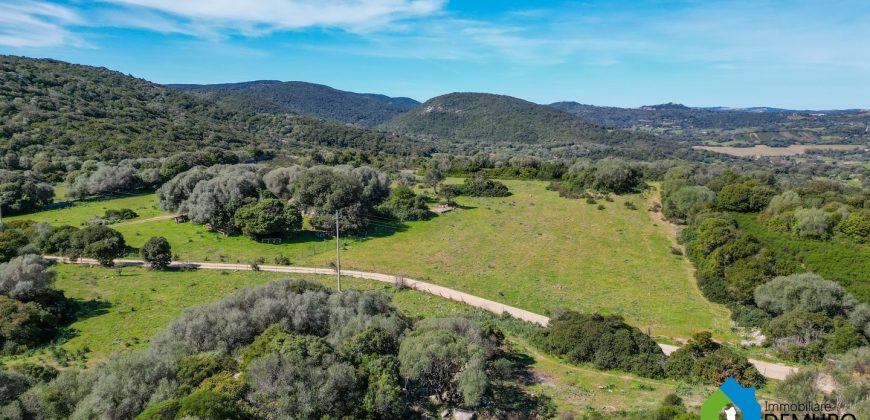 Farm for Sale in Gallura