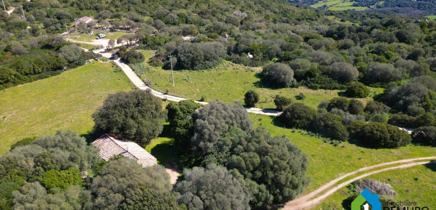 Farm for Sale in Gallura