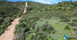 Farm for Sale in Gallura