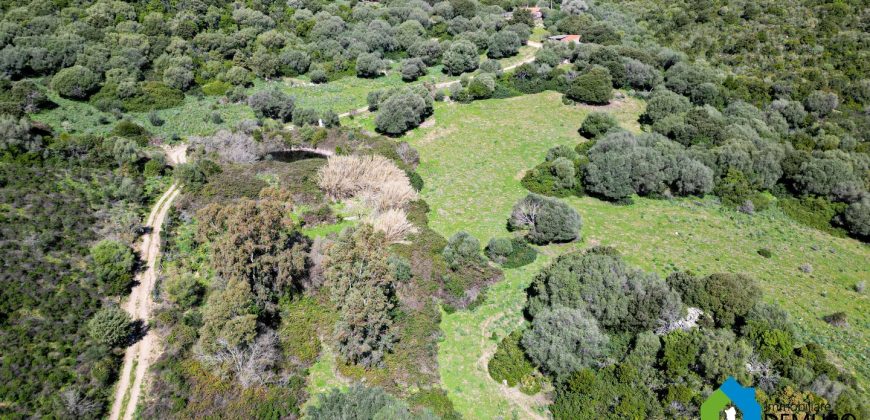 Farm for Sale in Gallura