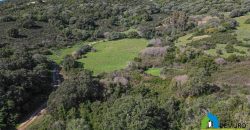 Farm for Sale in Gallura