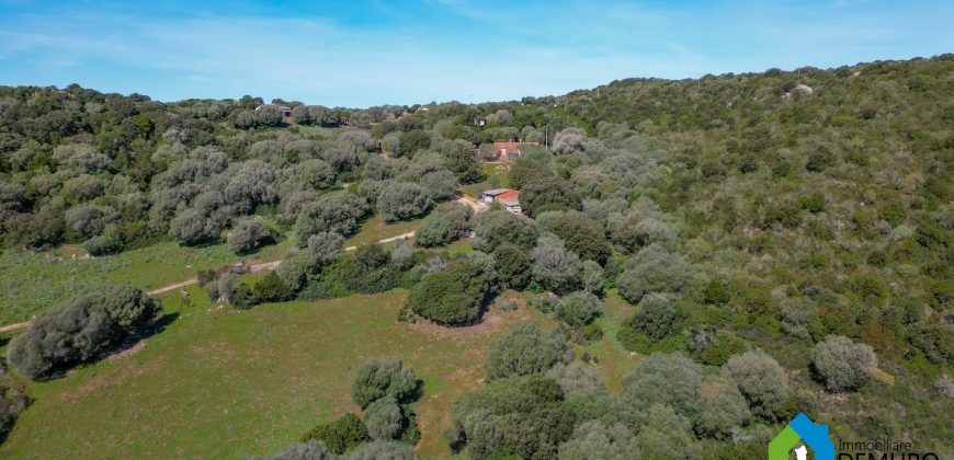 Farm for Sale in Gallura