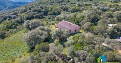 Farm for Sale in Gallura