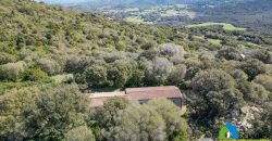 Farm for Sale in Gallura