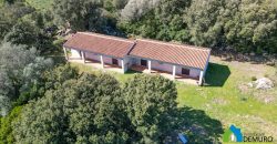 Farm for Sale in Gallura