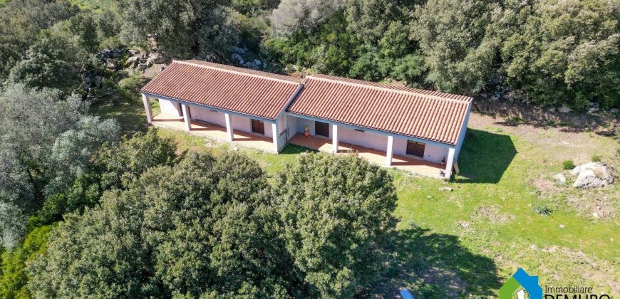 Farm for Sale in Gallura