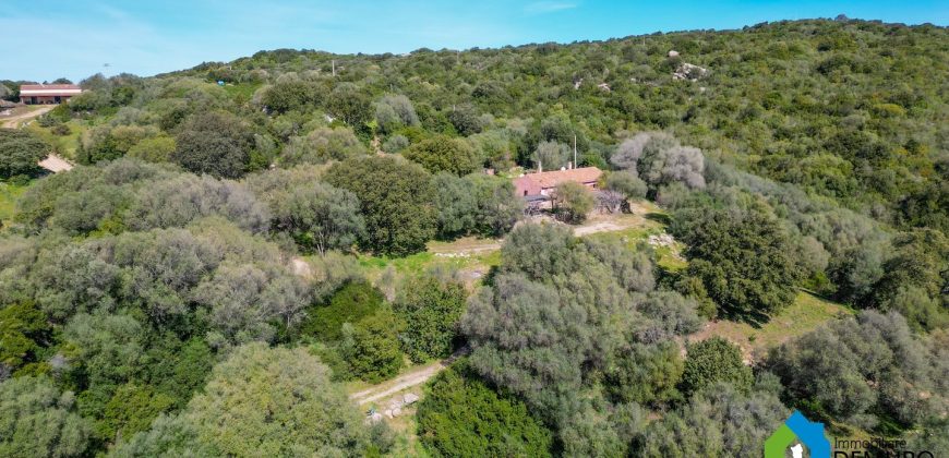 Farm for Sale in Gallura