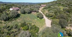 Farm for Sale in Gallura