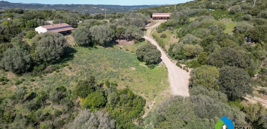 Farm for Sale in Gallura