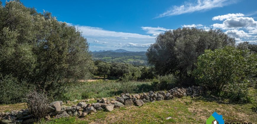 Farm for Sale in Gallura