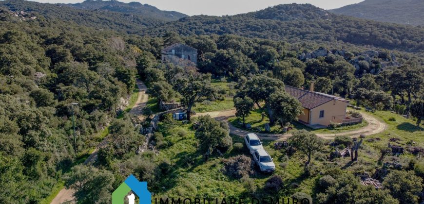 Casa di Campagna in Vendita in Gallura ref.Tracchetta