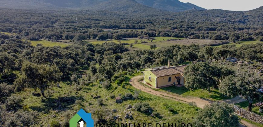 Casa di Campagna in Vendita in Gallura ref.Tracchetta