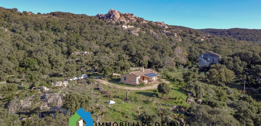 Casa di Campagna in Vendita in Gallura ref.Tracchetta