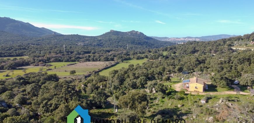 Casa di Campagna in Vendita in Gallura ref.Tracchetta