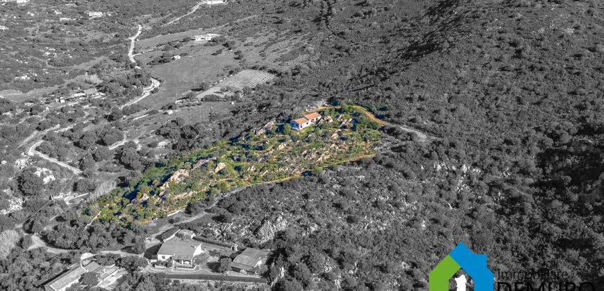 LandhäUser Zum Verkaufen Olbia