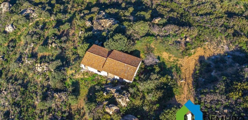 LandhäUser Zum Verkaufen Olbia