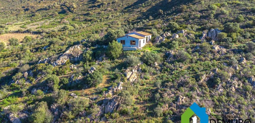 LandhäUser Zum Verkaufen Olbia