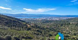 LandhäUser Zum Verkaufen Olbia