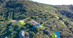 LandhäUser Zum Verkaufen Olbia