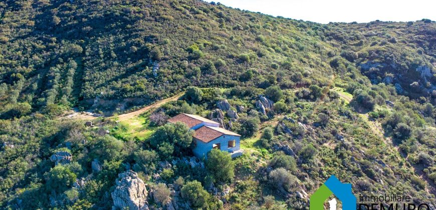 LandhäUser Zum Verkaufen Olbia