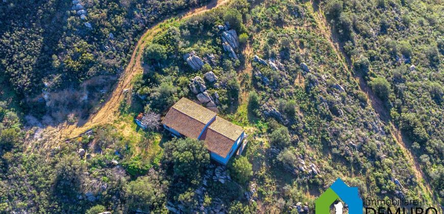 LandhäUser Zum Verkaufen Olbia