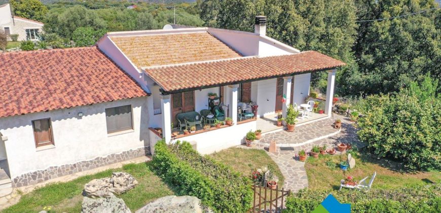 Bauernhaus Zum Verkaufen Loiri Porto San Paolo