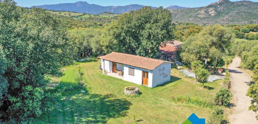 Bauernhaus Zum Verkaufen Loiri Porto San Paolo