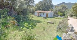 Bauernhaus Zum Verkaufen Loiri Porto San Paolo