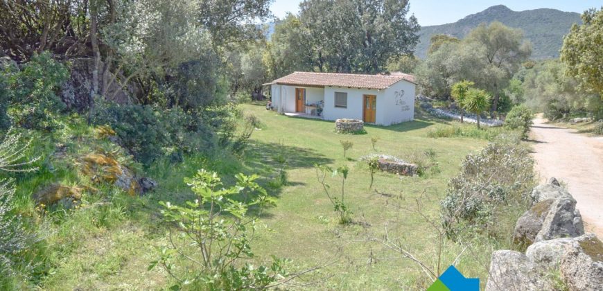 Bauernhaus Zum Verkaufen Loiri Porto San Paolo